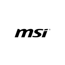 MSI